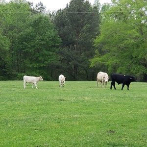 Meet your Posher, Johnathan